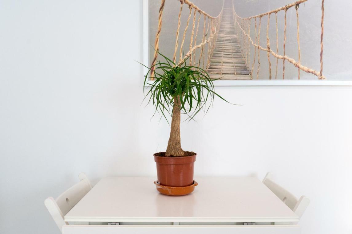 Ml1C-Prime Location Marble Apartment With Patios Μάλαγα Εξωτερικό φωτογραφία