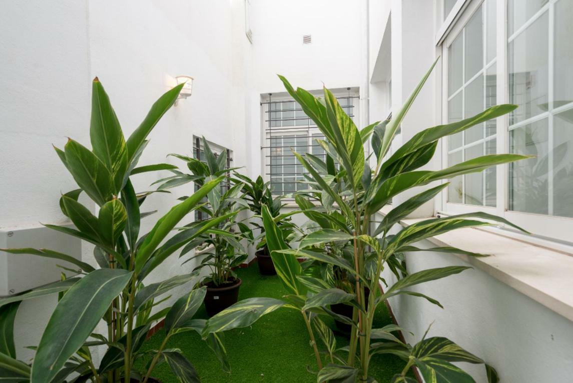 Ml1C-Prime Location Marble Apartment With Patios Μάλαγα Εξωτερικό φωτογραφία